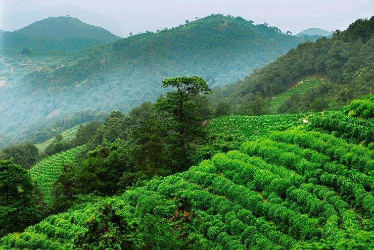 工信部:防范化解产能过剩风险,出台5G、工业互联网领域支持政策